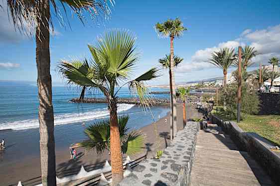 Strand och palmer på Teneriffa