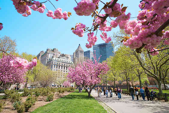 New York. Foto: Stock Images.