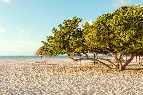 Aruba
