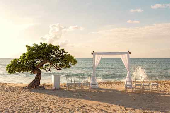 Vigselplats strand Aruba