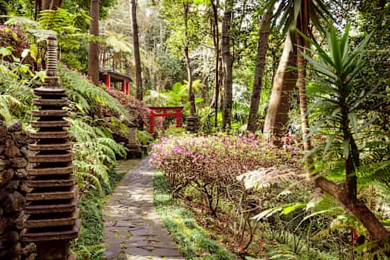 Vandringsled på Madeira