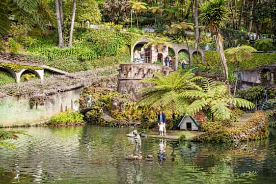Upptäcktsfärd i botaniska trädgården i Funhal