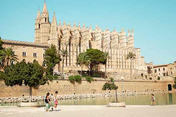 Palma stad