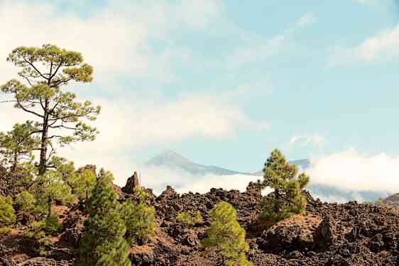 Teneriffa