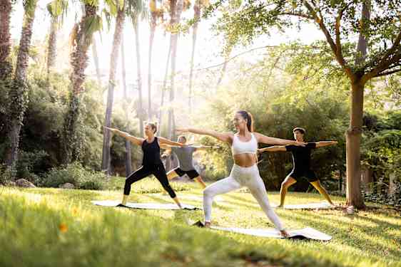 Yoga i skogen