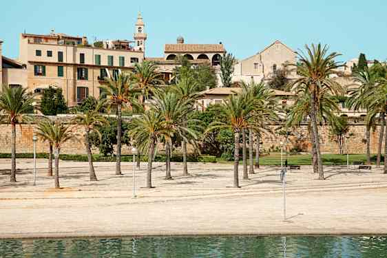 Palma stad