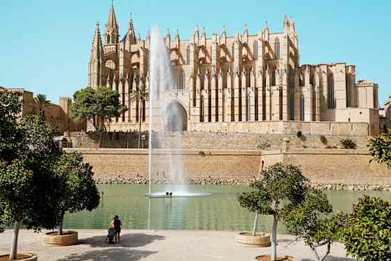 Palma