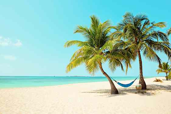 Drömstränder med Ving