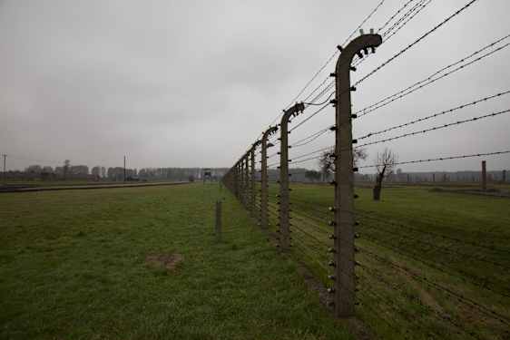 Auschwitz-Birkenau. Foto: Andrew Blackwell