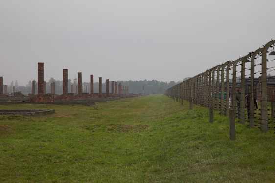 Auschwitz-Birkenau. Foto: Andrew Blackwell