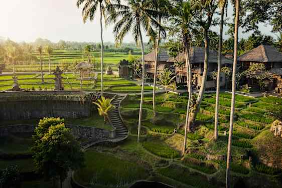 Hotell i grönskande omgivningar på Bali