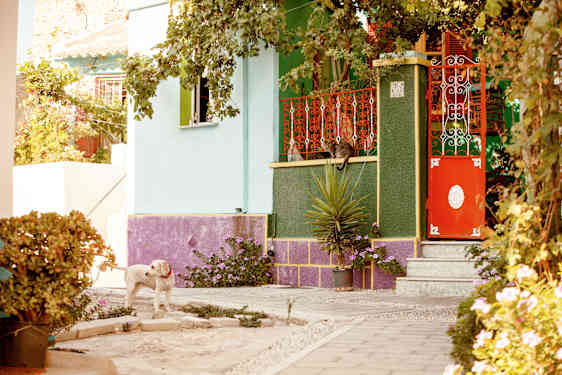 Det finns mycket vackert att se i Koskinou.