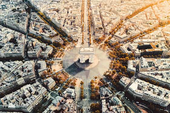 Vackert träd i Paris