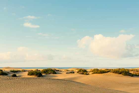 Maspalomas öknen