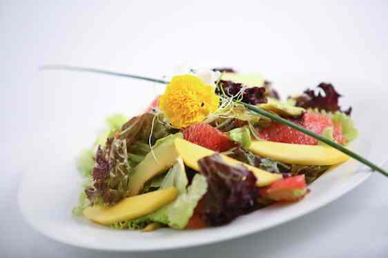 Restaurant Montgolfier
