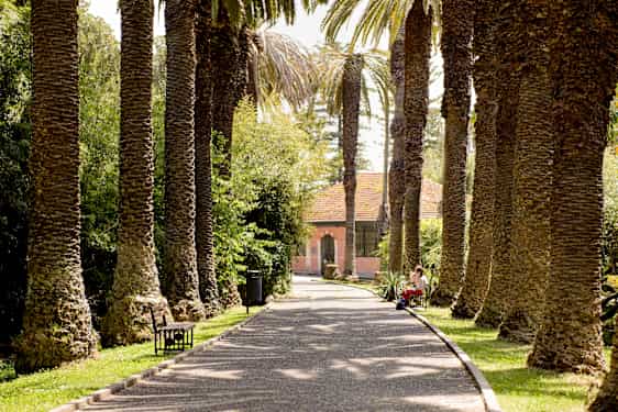 Promenad i Jardim Agrícola Tropical