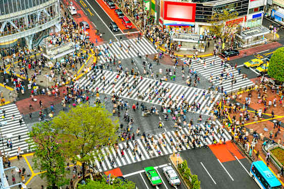 Shibuya Crossing