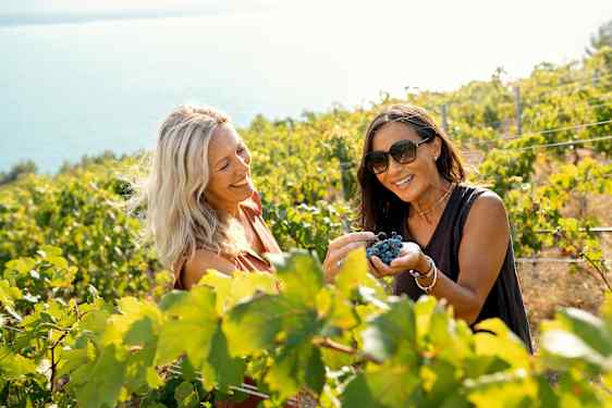 Två kvinnor på en vingård
