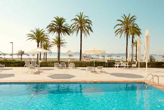 Nuevas Palmeras - pool