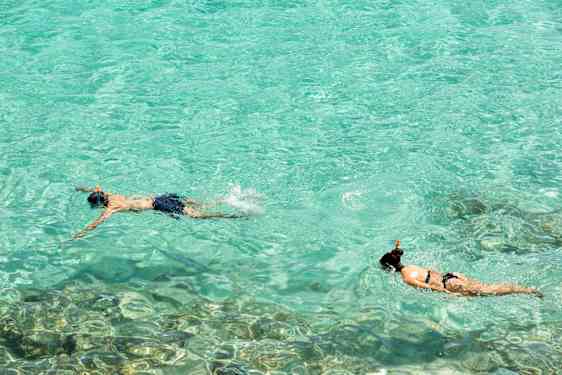 Två personer som snorklar