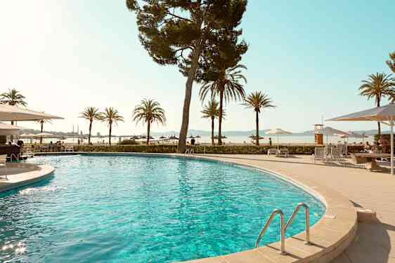 Nuevas Palmeras - pool