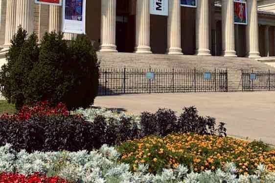 Museum of Fine Arts