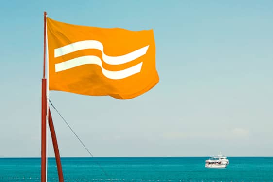 Ving flagga i vinden