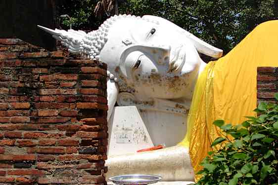Buddha