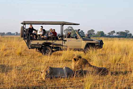 Personer tar bilder från en safaribil