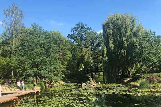 Den japanska trädgården är en förlängning av skogsparken Park Szczytnicki, som är perfekt för en picknick