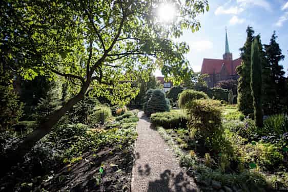 Botaniska trädgården vid Ostrów Tumski är perfekt för en paus i det gröna. Foto: visitwroclaw.eu