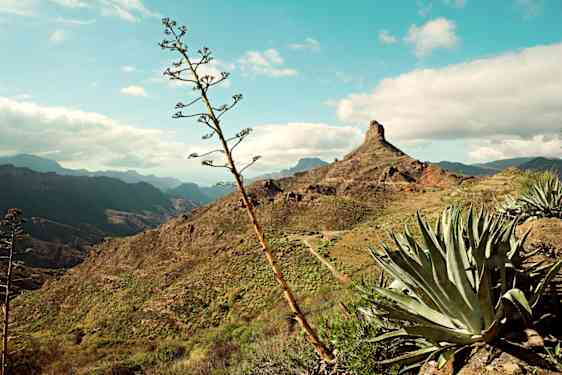 berg på Gran Canaria