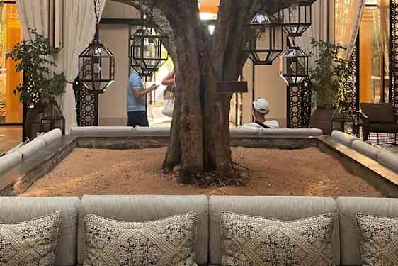 Får det lov att vara en plats i skuggan av ett träd?