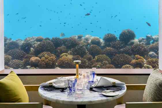 OBLU SELECT Lobigili