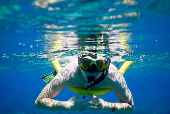 Snorkling i Key Largo