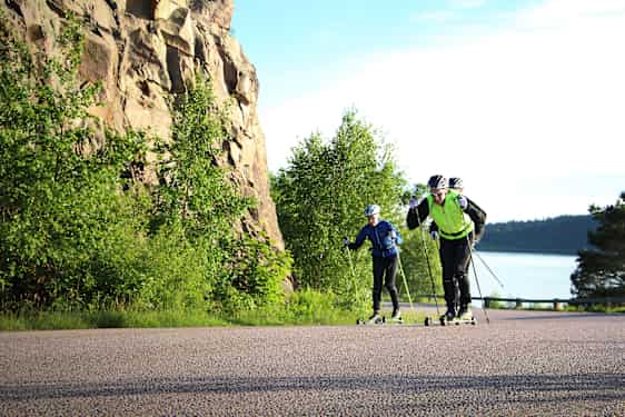 Grupp på rullskidor