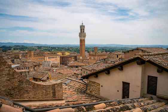 Sienna. Foto: Unsplash