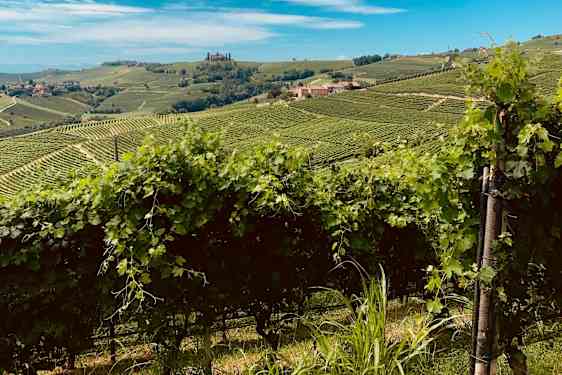 Piemonte. Foto: Lucia Gherra, Unsplash.