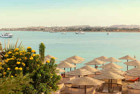 Parasoller på en strand i Egypten