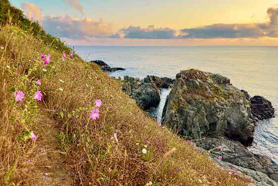 Klippor och blommor i Bulgarien