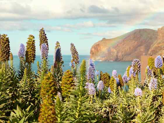 Madeira