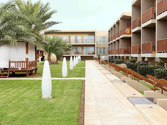 Oasis