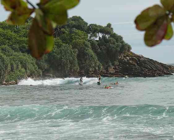 Surf