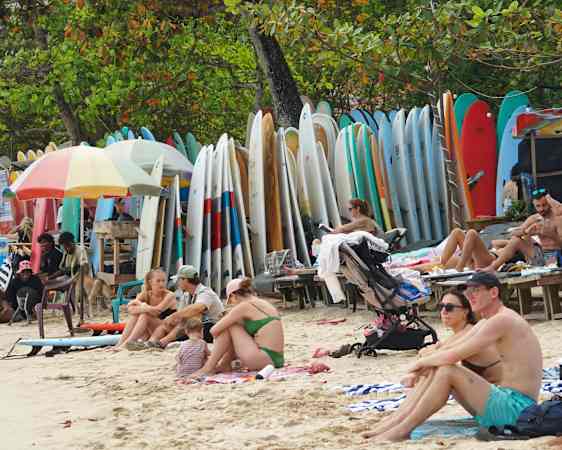 surfboards