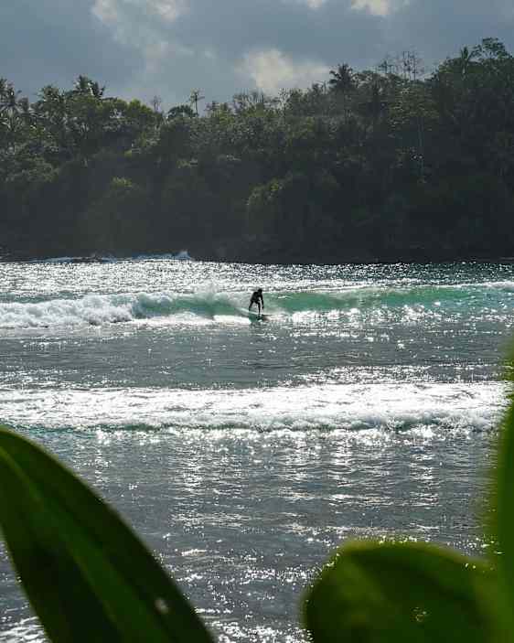 Surf