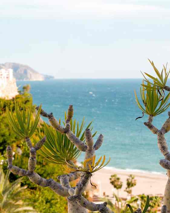 Nerja, Costa del Sol