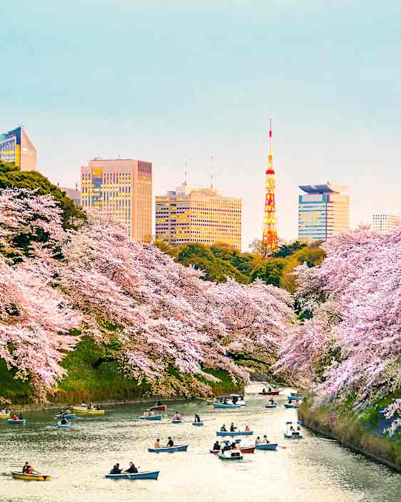 Tokyo. Foto: Stock images.