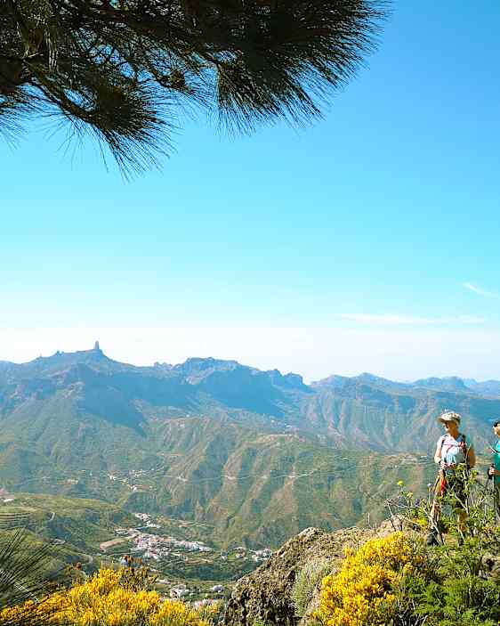 Hiking LPA