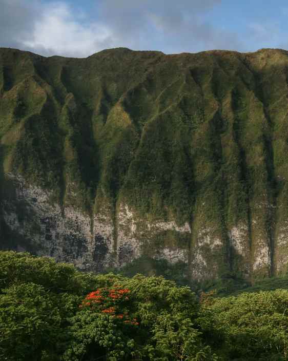 Hawaii