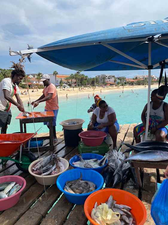 Fisk rensas direkt på brygga, färskare går inte att få